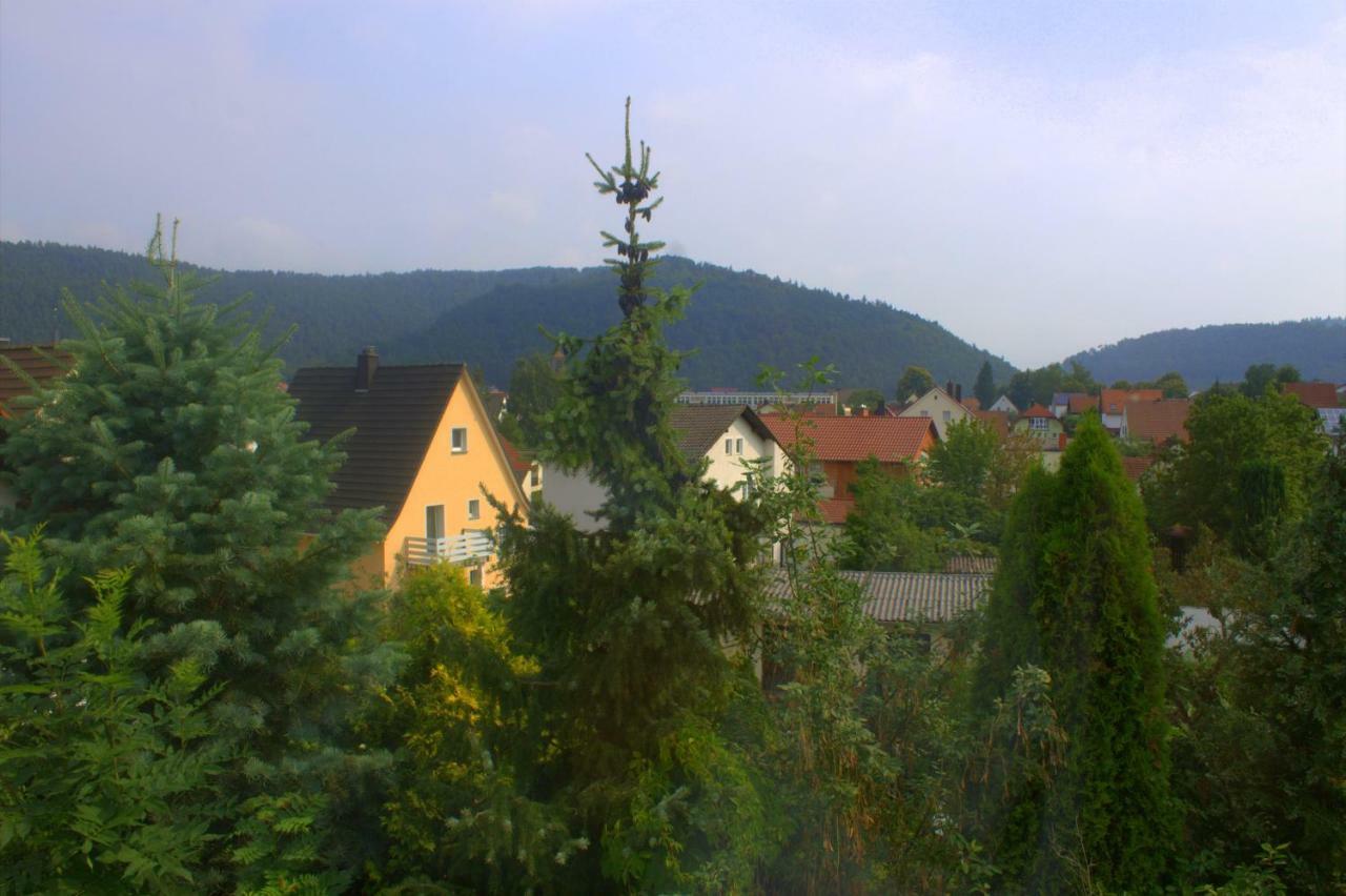 Apartament Wdwell Munchweiler an der Rodalbe Zewnętrze zdjęcie