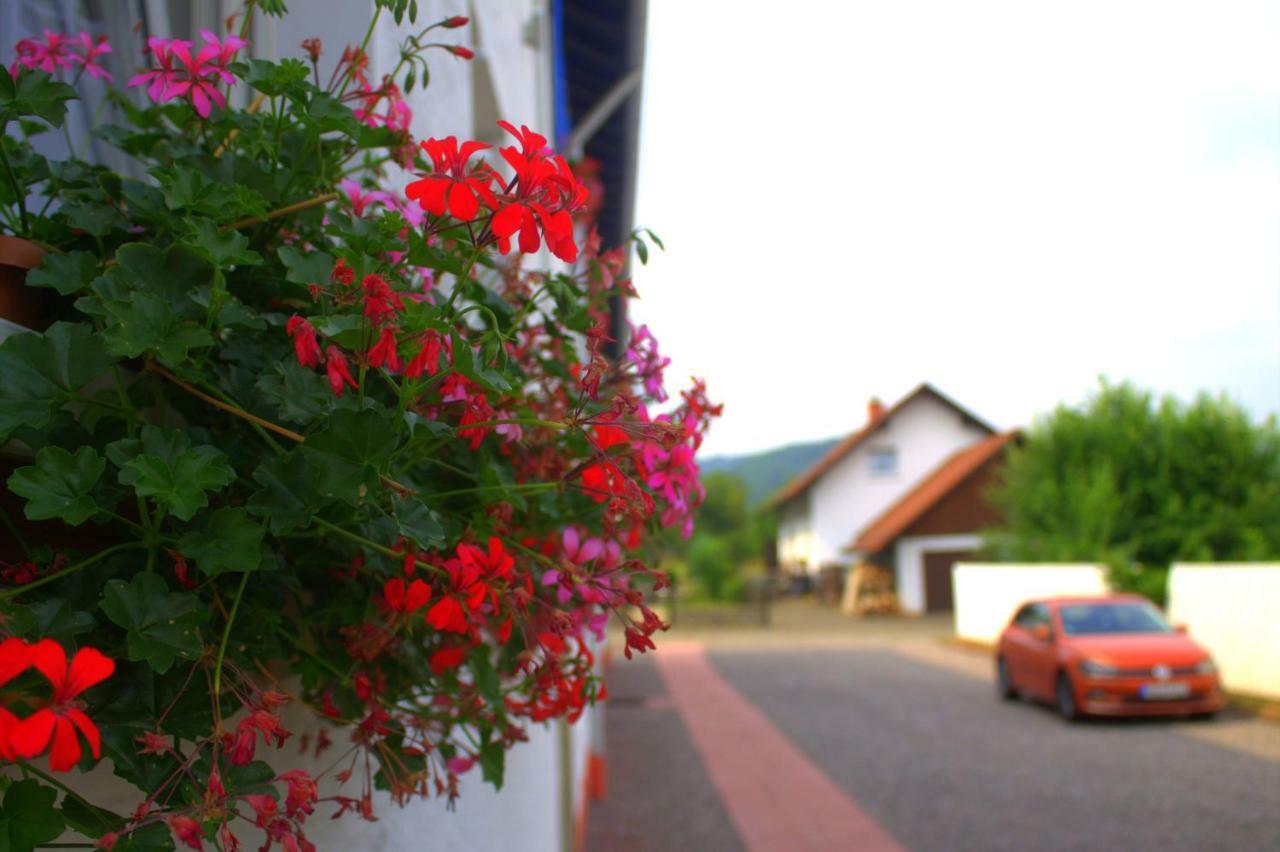 Apartament Wdwell Munchweiler an der Rodalbe Zewnętrze zdjęcie